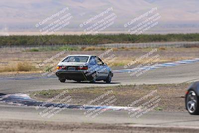 media/Oct-04-2025-OnGrid (Sat) [[44bd565ffa]]/Purple Group/Grapevine/